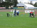 DSCN7114.JPG