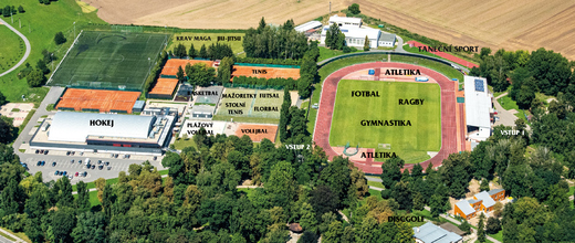 Vyškovský festival sportu.jpg Vyškovský festival sportu.jpg