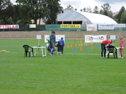 DSCN7114.JPG