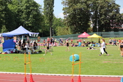 IMG_4261.JPG