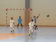 IMG_7313.JPG